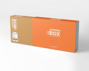 Mailer Box with Sleeve - Package Printing Services Ontario