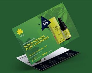 Postcard Printing - Product Promotion Ontario